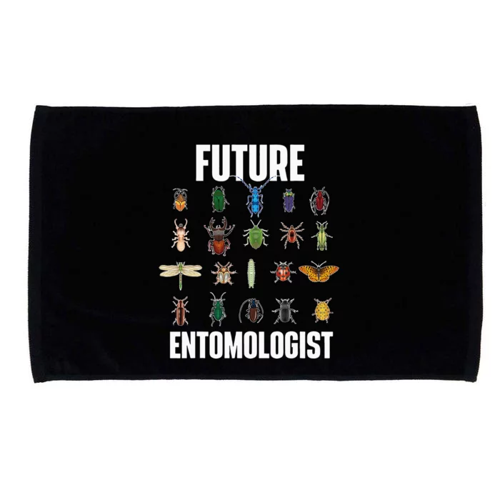 Future Entomologist Entomology Insect Lover Bug Collector Microfiber Hand Towel