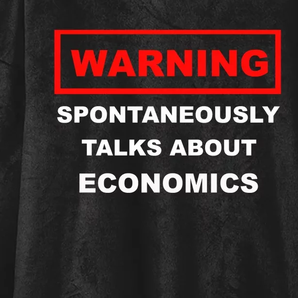 Funny Economist Funny Economics Professor Economics Lover Hooded Wearable Blanket