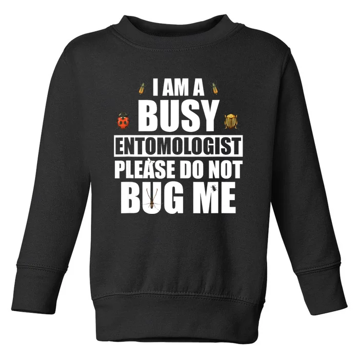 Funny Entomology Gift For Bug Lover I Am A Busy Entomologist Toddler Sweatshirt