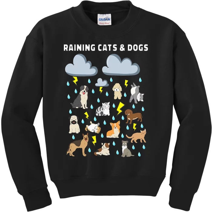 Funny English Idiom Raining Cats and Dogs Puppies Kitten Kids Sweatshirt