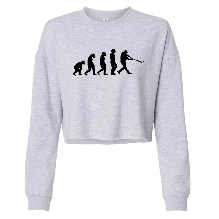 Funny Evolution Of Baseball Players Catcher Pitcher Fan Gift Cropped Pullover Crew