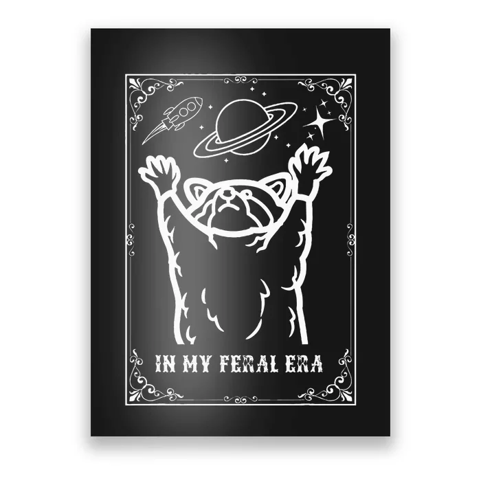 Feral Era Raccoon Cosmic Adventure Poster