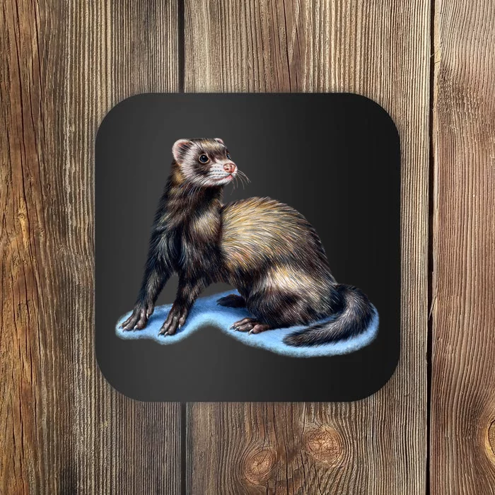 Ferret Wildlife Coaster