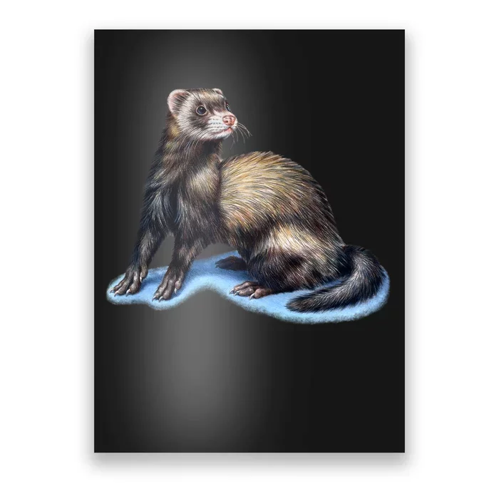 Ferret Wildlife Poster