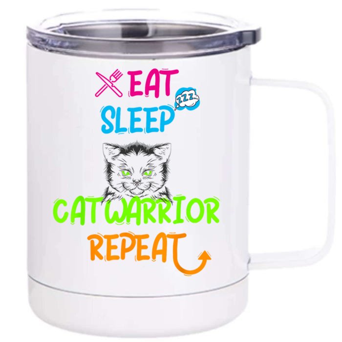 Funny Eat Sleep Cat Warrior Repeat Cool Cat Front & Back 12oz Stainless Steel Tumbler Cup