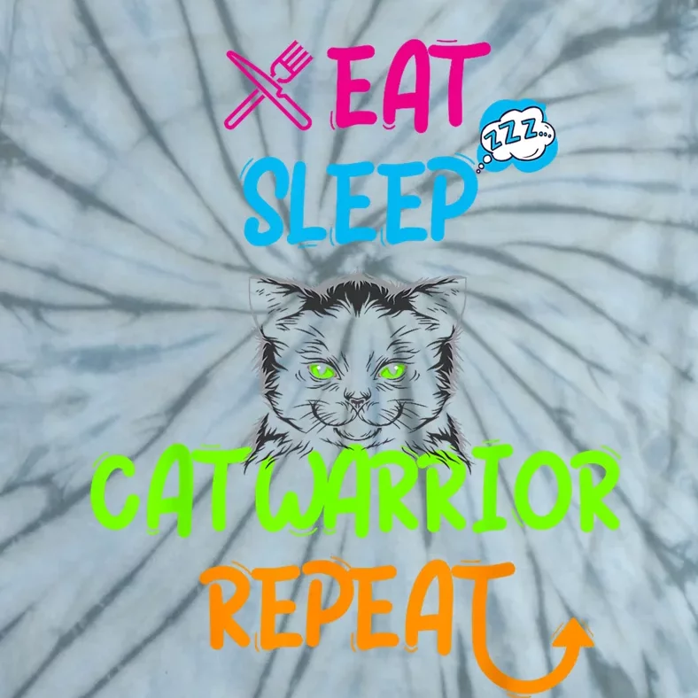 Funny Eat Sleep Cat Warrior Repeat Cool Cat Design Tie-Dye T-Shirt