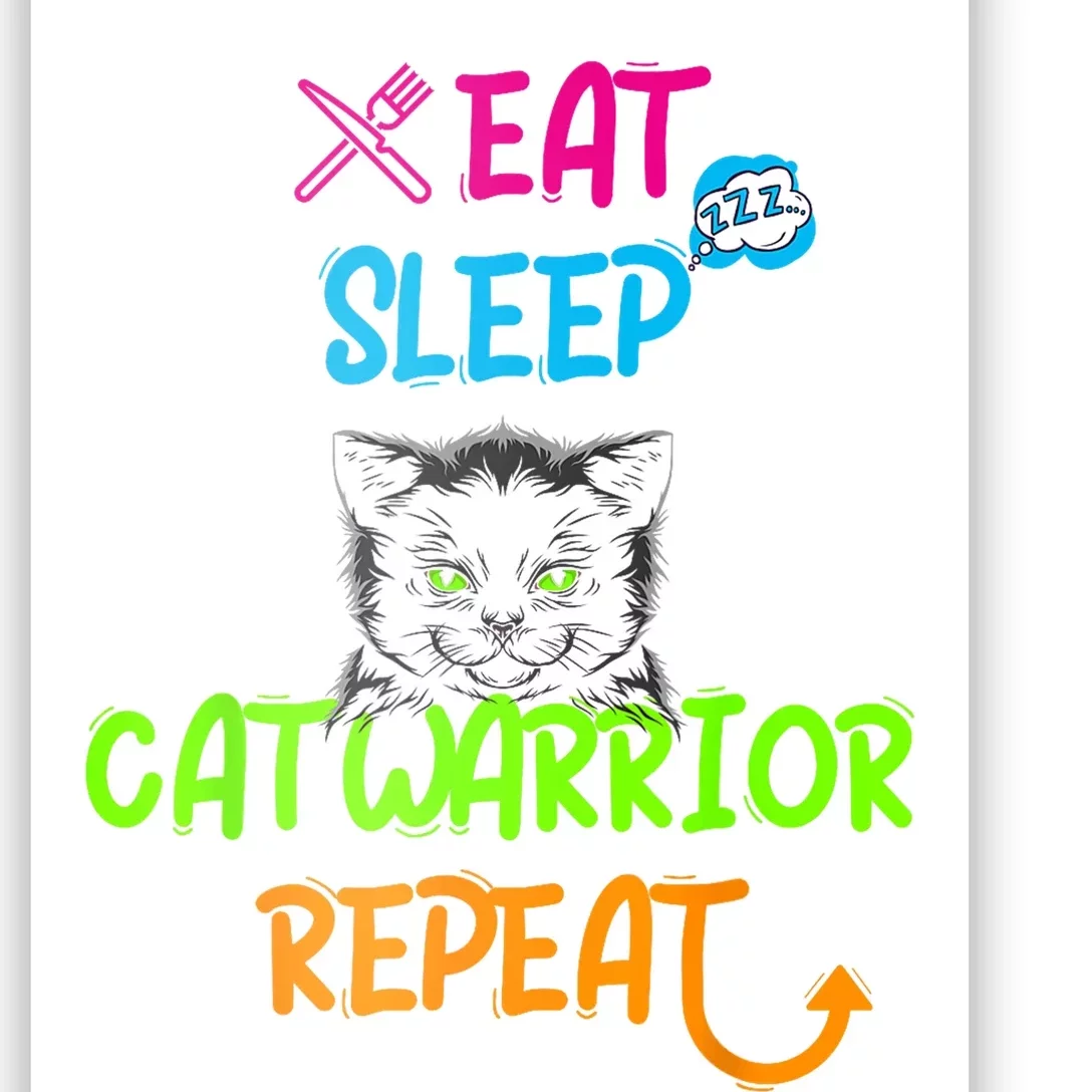 Funny Eat Sleep Cat Warrior Repeat Cool Cat Design Poster