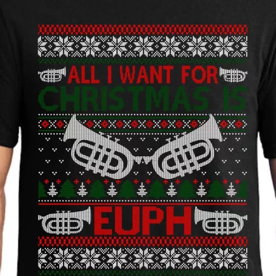 Funny Euph Ugly Christmas Sweater Gift Euphonium Pajama Set