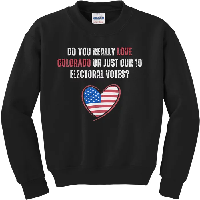 Funny Electoral Vote Kids Sweatshirt