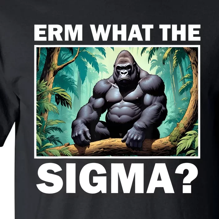 Funny Erm What The Sigma Ironic Meme Brainrot Quote Tall T-Shirt