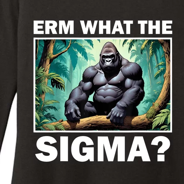 Funny Erm What The Sigma Ironic Meme Brainrot Quote Womens CVC Long Sleeve Shirt