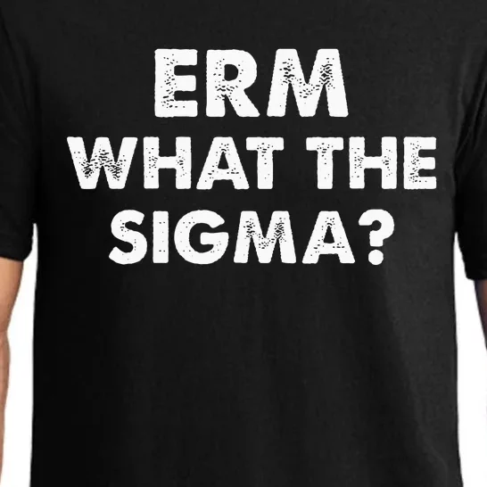 Funny Erm What The Sigma Meme Pajama Set