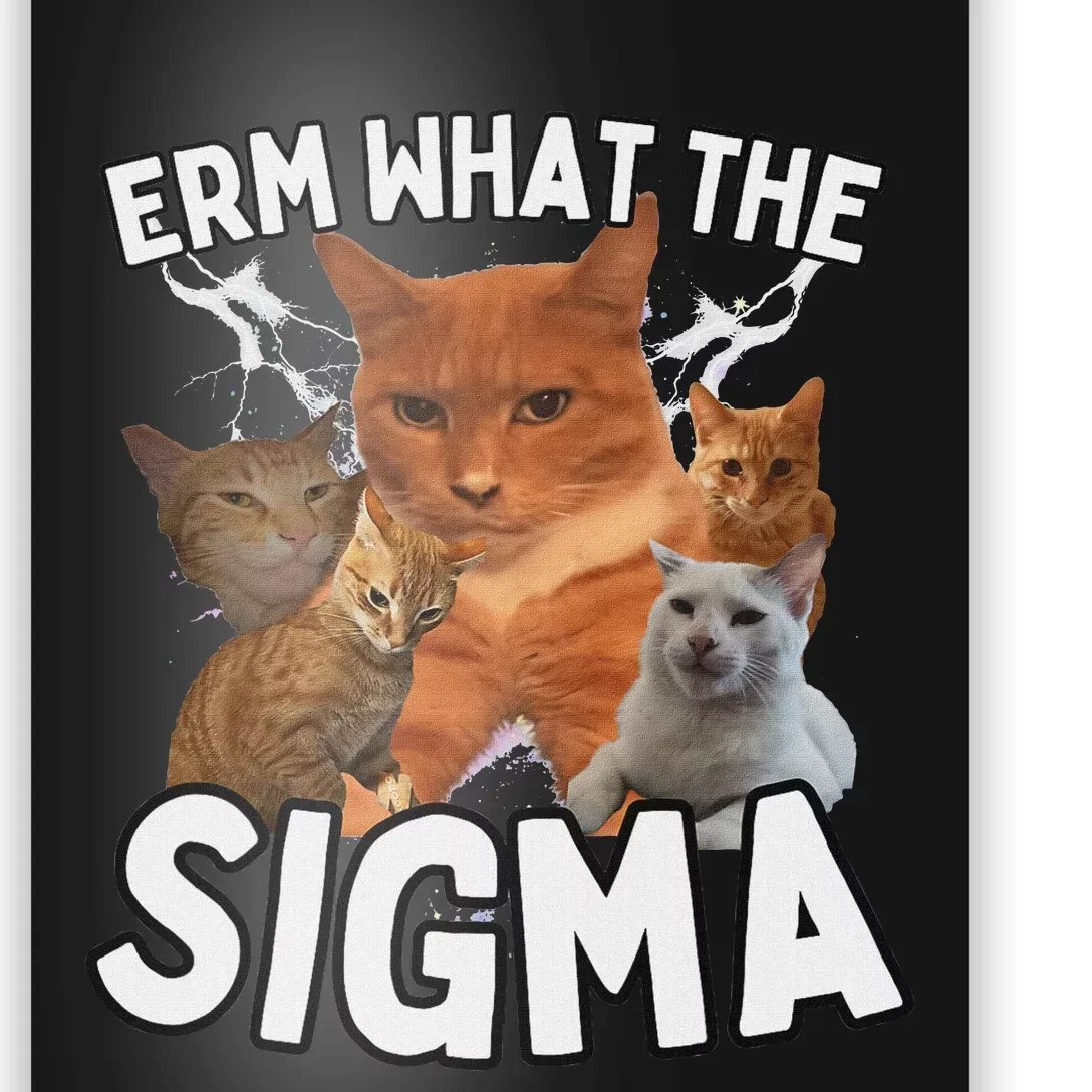 Funny Erm What The Sigma Ironic Meme Brainrot Quote Poster