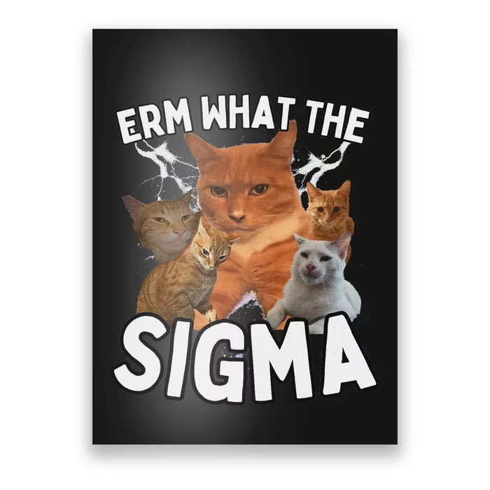 Funny Erm What The Sigma Ironic Meme Brainrot Quote Poster