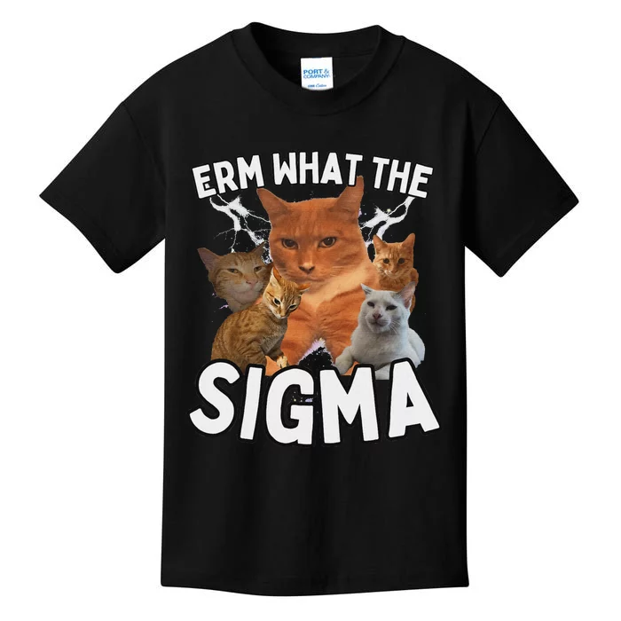 Funny Erm What The Sigma Ironic Meme Brainrot Quote Kids T-Shirt