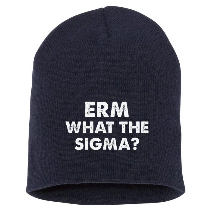 Funny Erm What The Sigma Meme Short Acrylic Beanie