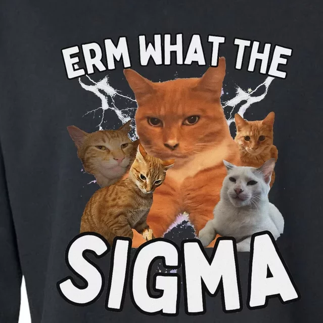 Funny Erm What The Sigma Ironic Meme Brainrot Quote Cropped Pullover Crew