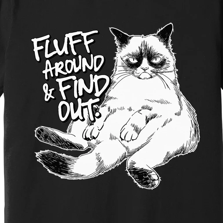 Funny Fluff Around and Find Out Grumpy Kitty Sarcastic Cat Premium T-Shirt