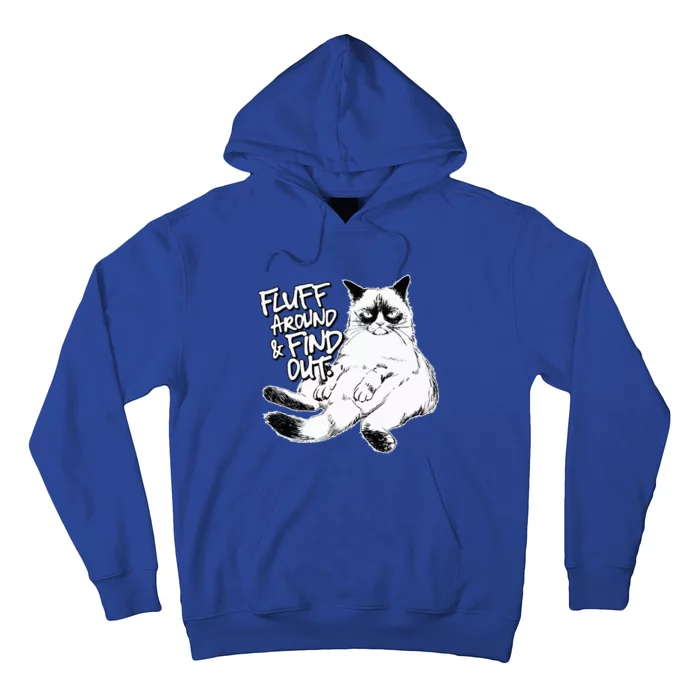 Funny Fluff Around and Find Out Grumpy Kitty Sarcastic Cat Hoodie