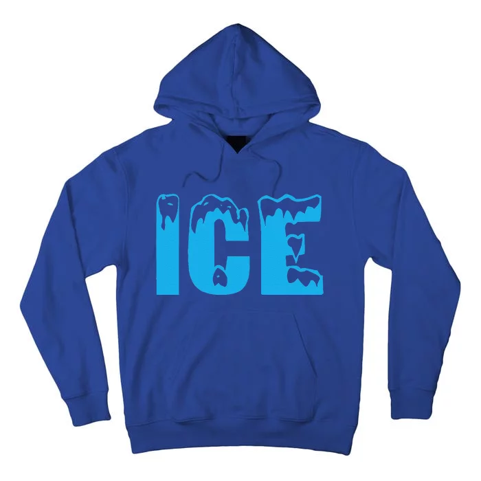 Funny Fire And Ice Costume Halloween Family Matching Funny Tall Hoodie