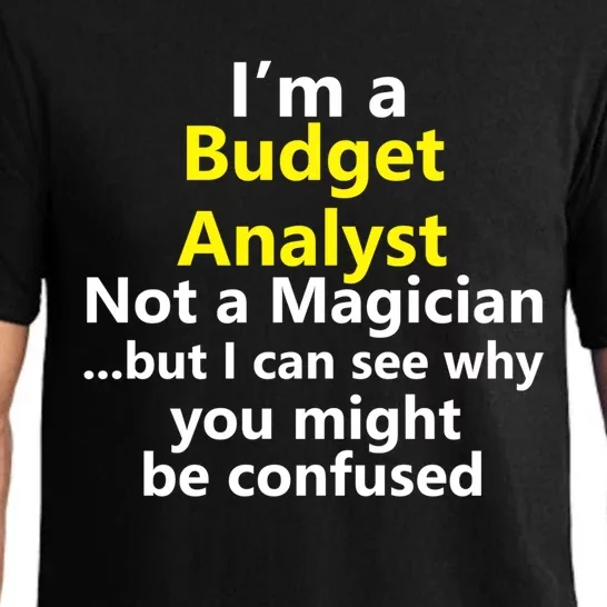 Funny Finance Analyst Job Career Budget Banking Accountant Great Gift Pajama Set