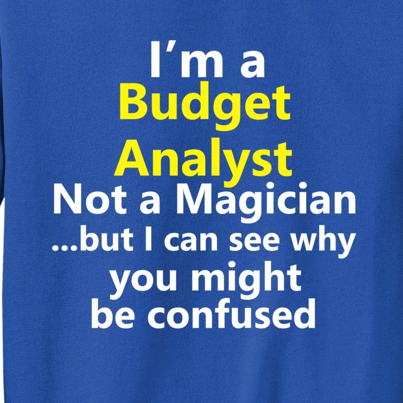 Funny Finance Analyst Job Career Budget Banking Accountant Great Gift Sweatshirt