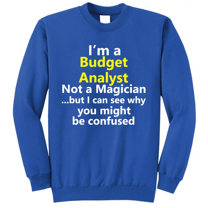 Funny Finance Analyst Job Career Budget Banking Accountant Great Gift Sweatshirt