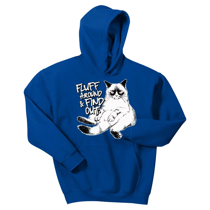 Funny F.luff Around And Find Out Grumpy K.itty Sarcastic Cat Kids Hoodie