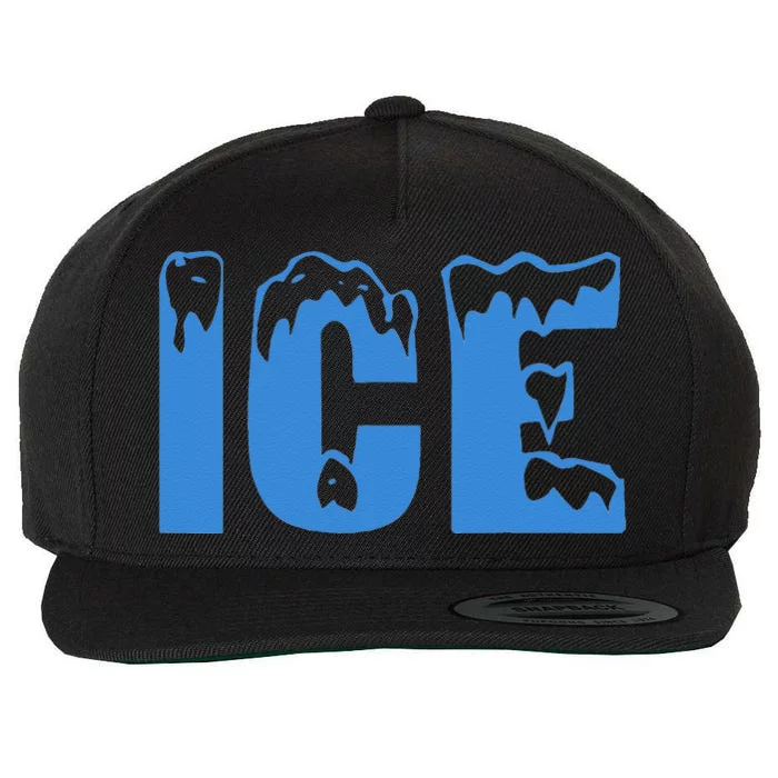 Funny Fire And Ice Costume Halloween Family Matching Wool Snapback Cap