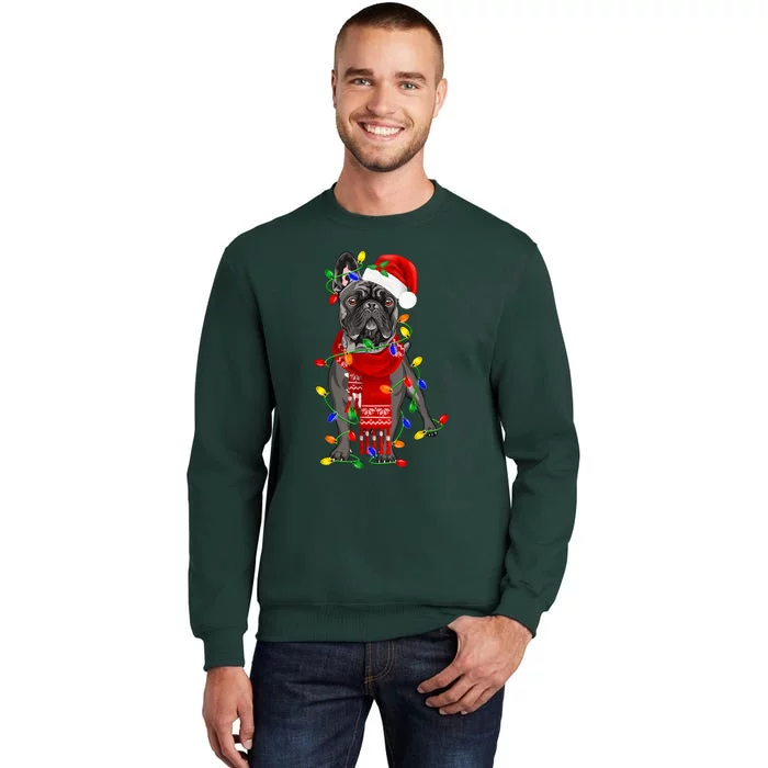 Funny French Bulldog Dog Tree Christmas Lights Xmas Pajama Tall Sweatshirt