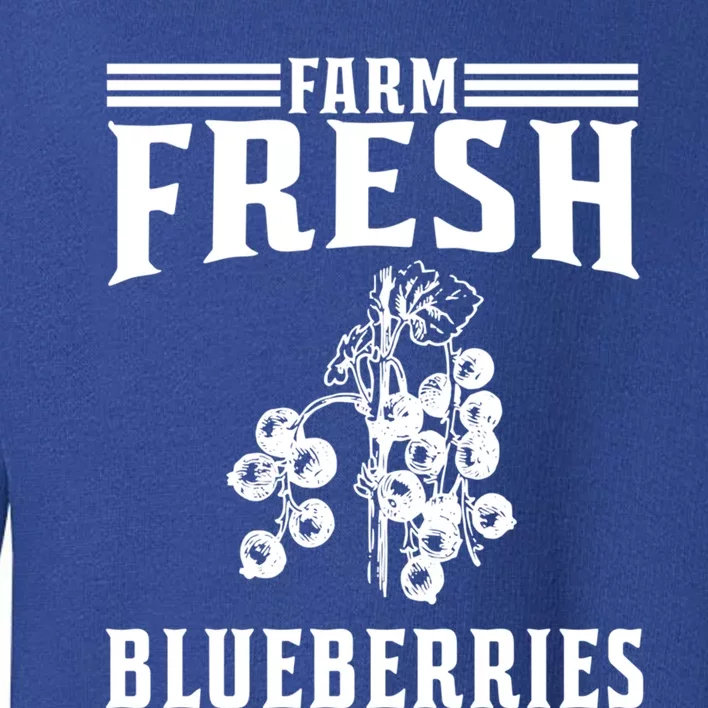 Farm Fresh Blueberries Gift Blueberry Farmer Gift Toddler Sweatshirt