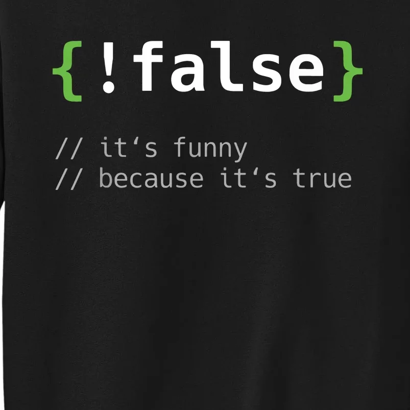 False Funny Coding Programmer Gift Computer Programming Sweatshirt