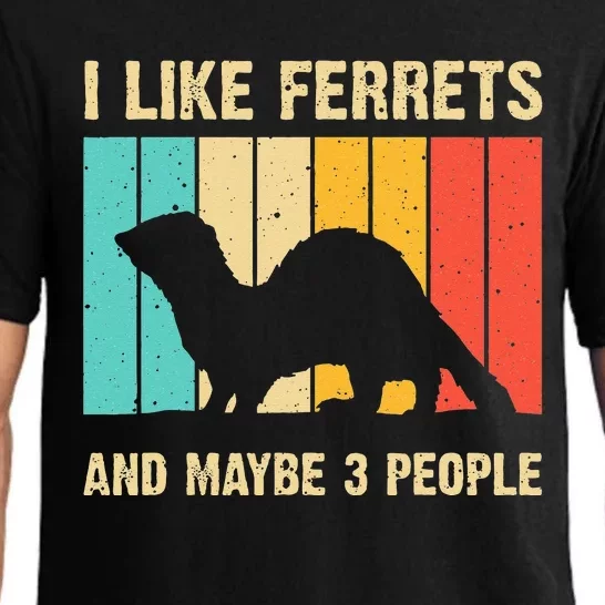 Funny Ferret Design For Men Women Ferret Lover Introvert Pajama Set