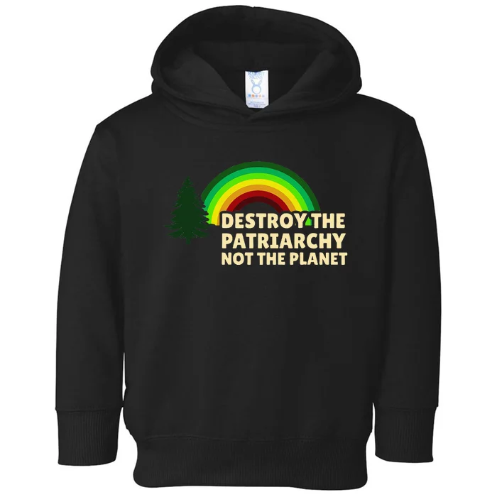 Feminism Feminist Destroy The Patriarchy Not The Planet Toddler Hoodie