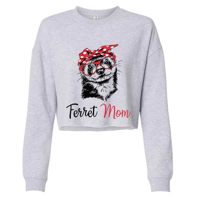 Ferret Cropped Pullover Crew