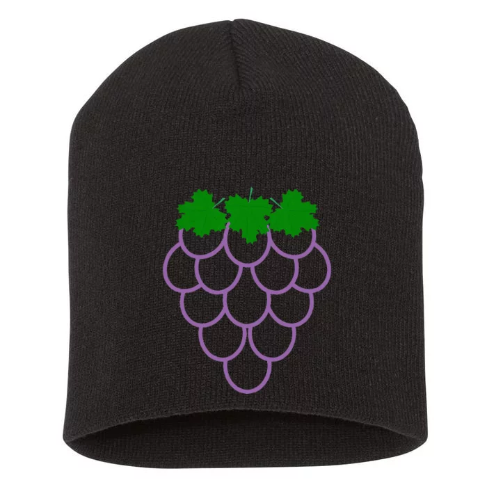 Funny Fruit Grapes Halloween Costume Kids Men Women Short Acrylic Beanie