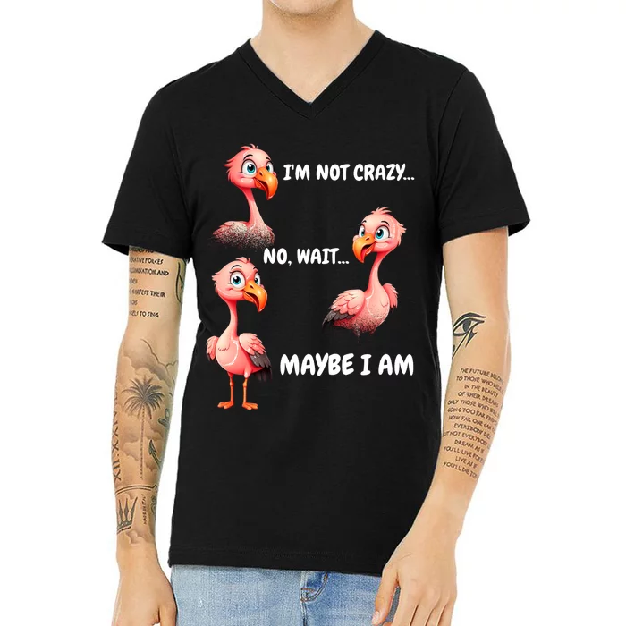 Funny Flamingo Humor V-Neck T-Shirt