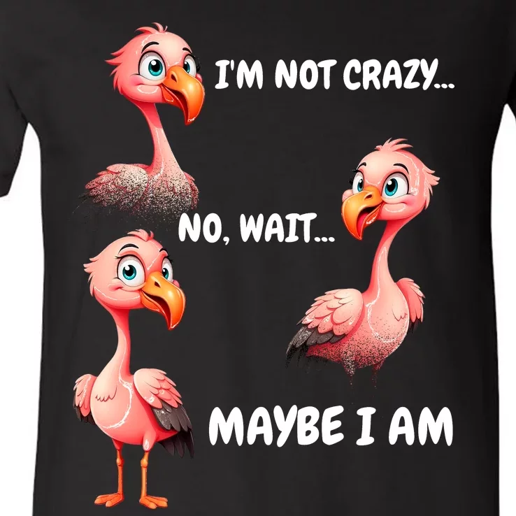 Funny Flamingo Humor V-Neck T-Shirt