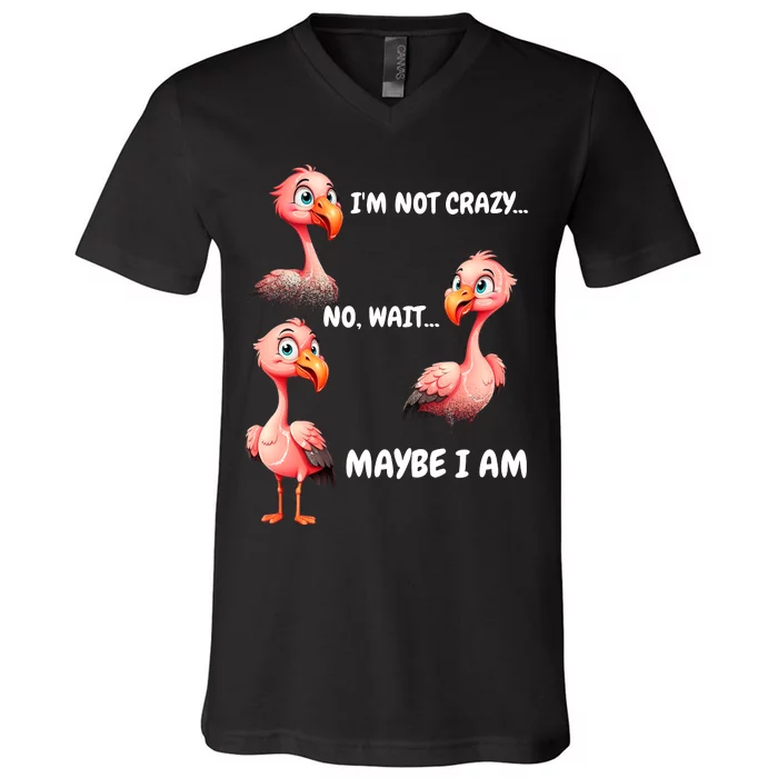 Funny Flamingo Humor V-Neck T-Shirt