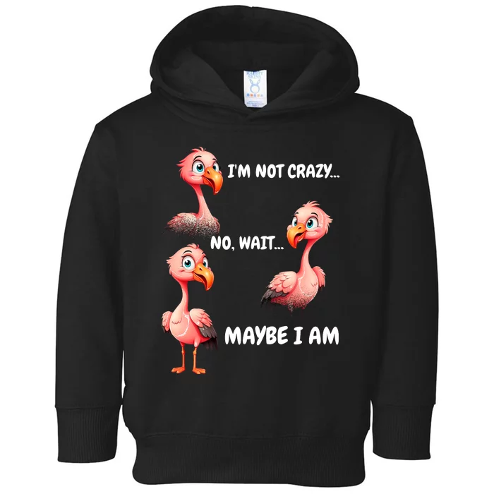 Funny Flamingo Humor Toddler Hoodie