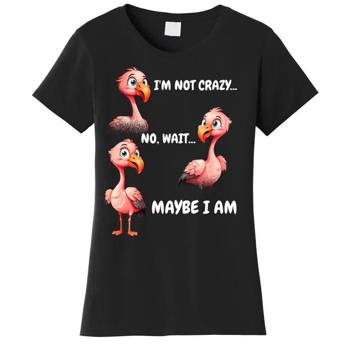 Funny Flamingo Humor Women's T-Shirt