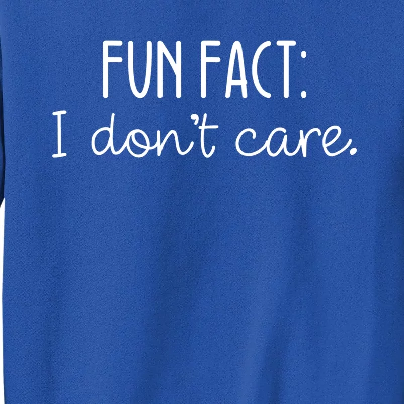 Fun Fact I Don't Care Cute Gift Sweatshirt