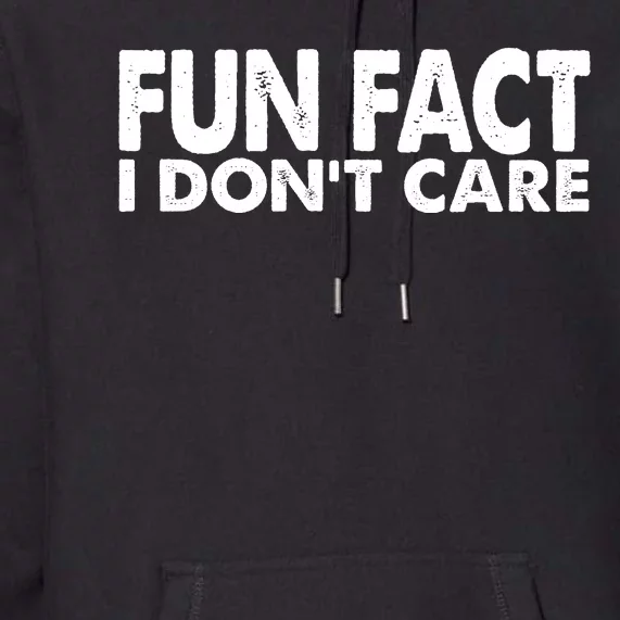 Fun Fact I Dont Care Funny Premium Hoodie