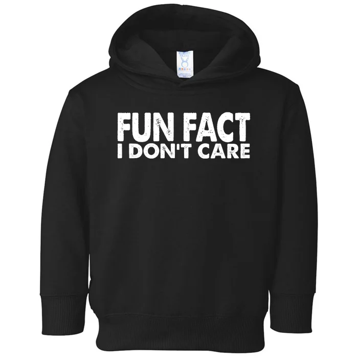 Fun Fact I Dont Care Funny Toddler Hoodie