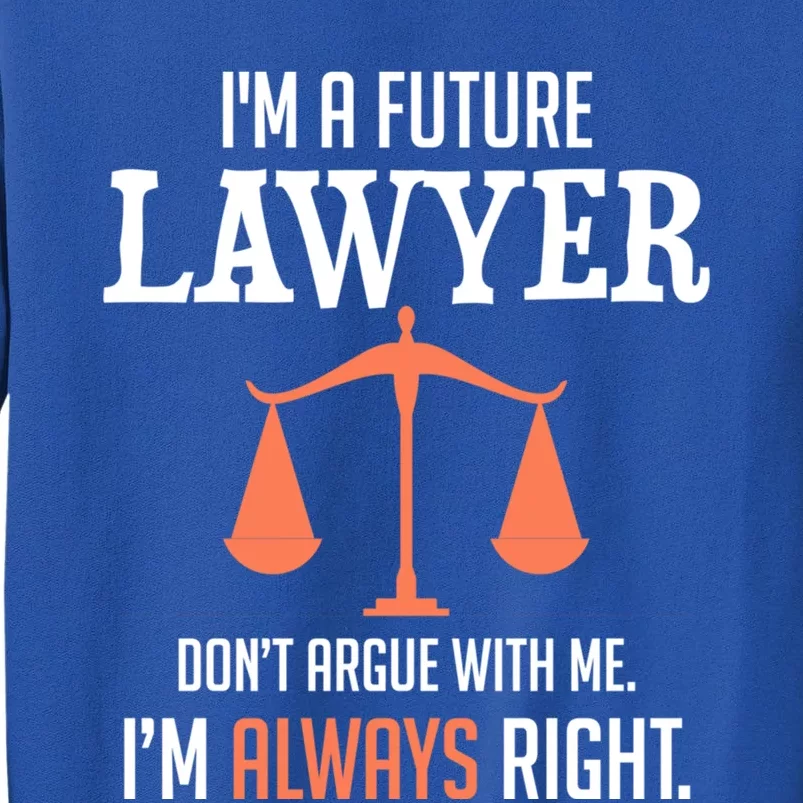 Funny Future Lawyer Law School Student Gift Meaningful Gift Sweatshirt