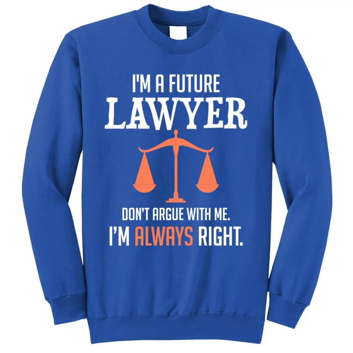 Funny Future Lawyer Law School Student Gift Meaningful Gift Sweatshirt