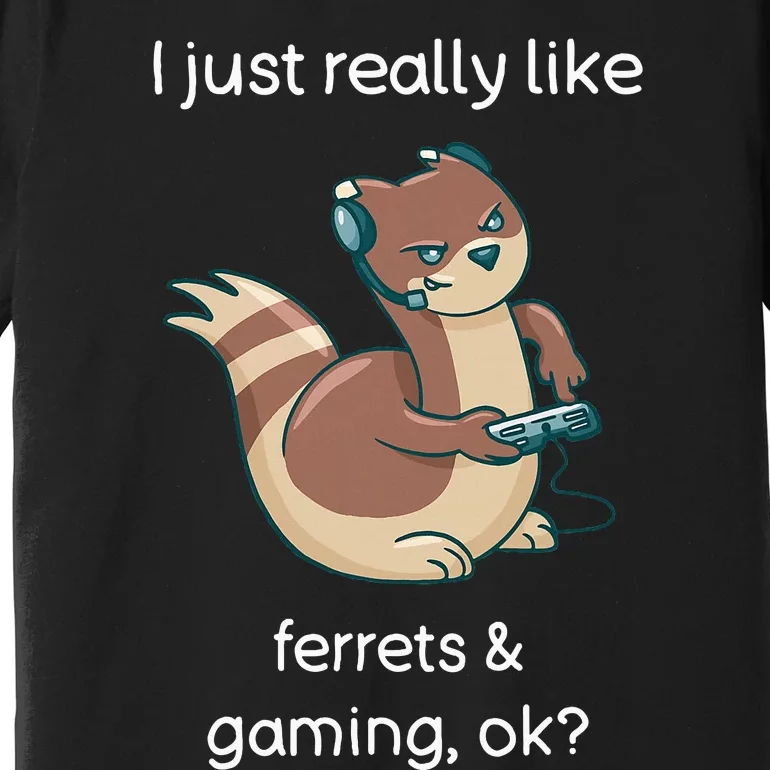 Funny Ferret Lover Gamer I Love Video Gaming Ferret Premium T-Shirt