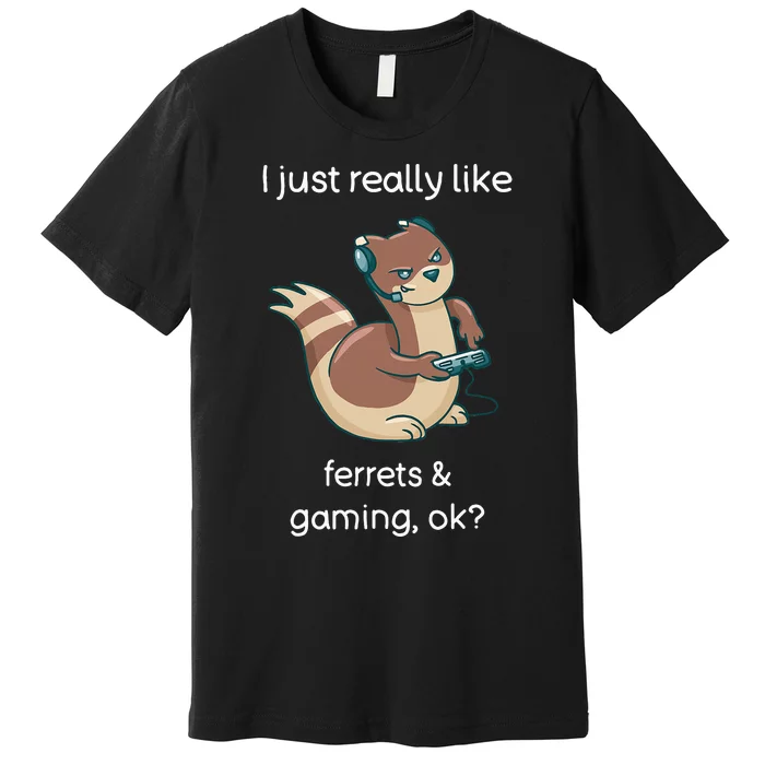 Funny Ferret Lover Gamer I Love Video Gaming Ferret Premium T-Shirt