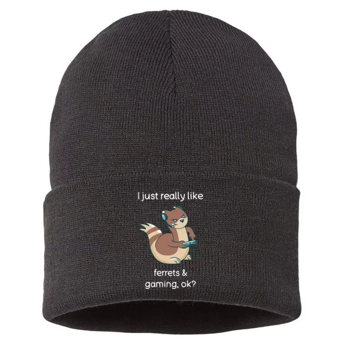 Funny Ferret Lover Gamer I Love Video Gaming Ferret Sustainable Knit Beanie