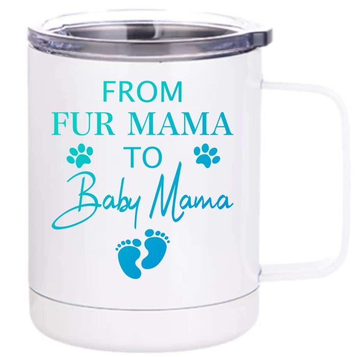 From Fur Mama To Mama Dog Cat Owner New Mom Pregnant Gift Front & Back 12oz Stainless Steel Tumbler Cup